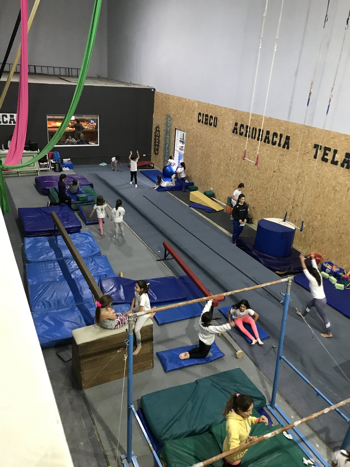 Gimnasia artística en Syrcas